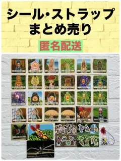 2025年最新】こびとづかんカードの人気アイテム - メルカリ