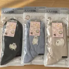 新品未使用！大人の図鑑 ポメラニアン　ソックス3足セット☆レア☆