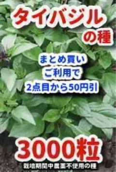 Lily様 リクエスト 2点 まとめ商品