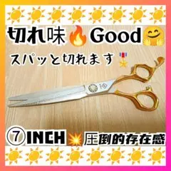 スパッと爽快に切れる理美容師サロン用シザーカットバサミ★犬トリミングペット全て良