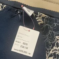 ダイアナ　ガードル　新品未使用 2026年最新】Yahoo!オークション -ダイアナ補正下着ガードルの中古品