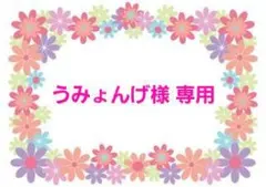 【うみょんげ様 専用】2点