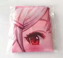 Item thumbnail for item 14a5e6d1-d6ef-4077-a004-d543bcb1c820