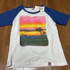 Item thumbnail for item 522e8cd4-2205-4043-875e-f0962208f416