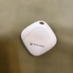다이소 로스트 태그 태그