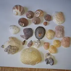 Item thumbnail for item 6d73a9a4-0446-4483-85c4-7c5a50d81c0b