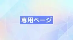 専用ページ