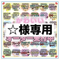 【☆様専用】オーダー