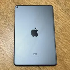 2026年最新】ipad mini5 本体 256gbの人気アイテム - メルカリ