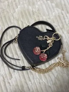 2025年最新】coach チェリーの人気アイテム - メルカリ