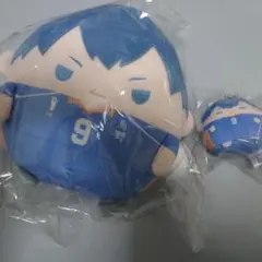 影山飛雄 ハイキュー‼︎くじメイト ぬいくじ C賞 ふわコロりん Msize