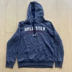 Hollister ネイビー フーディ