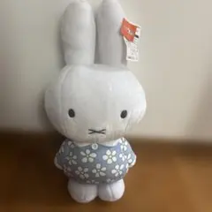 Item thumbnail for item f5e8428d-7add-4d9e-87f6-e677d9ea45c6