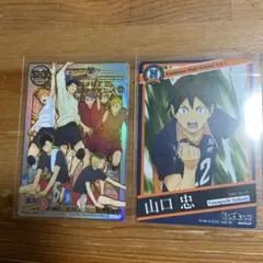 ハイキュー　きゃらくたぶるカードグミ　Vol.3 SHR