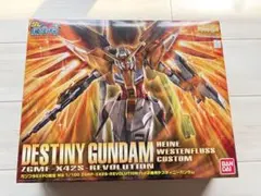 ジャンク品MG 1/100 ガンプラEXPO限定 ハイネ専用デスティニーガンダム