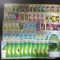 ヒ*ロ様 ジムバトル優勝構築　メガフシギバナexデッキ　メガニウム型