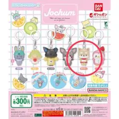 JOCHUM めじるしアクセサリー2　まめちぃ　2個セット