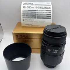 Item thumbnail for item 58c3597f-0dd3-426a-9ce2-dc4300e507ab