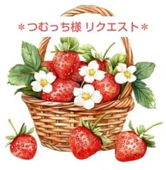 ＊つむっち様 リクエスト 2点 おまとめ商品＊