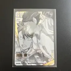 ハイキュー!! バボカ 及川徹 頂P