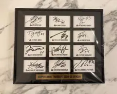 群馬クレインサンダース　サイン入りパネル