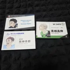 ハイキュー ファンパーク 名刺カード