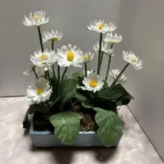 Item thumbnail for item 0c9b1cae-df83-43be-850d-9abb6f7bad0a