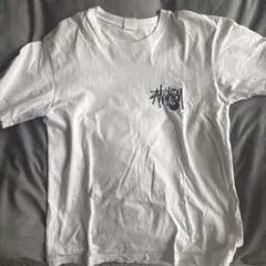 Item thumbnail for item e3063529-4d03-474a-8e53-9b6bc57a19cb