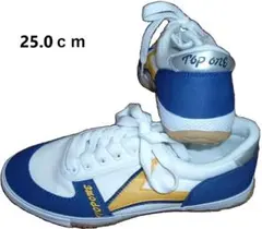 Item thumbnail for item 8559a540-ae00-4805-a538-770f45cdcbd5