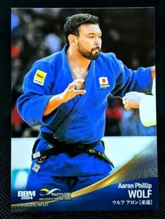 Item thumbnail for item 52b134e7-c275-41c1-be3f-cf35d1008c72