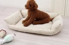 スリーコインズ冷感ベッドのサムネイル