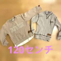 EDWIN グレー ロゴ入り トレーナー