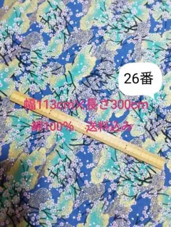 Item thumbnail for item eead3241-34f2-416c-abb8-7d4983a7435d