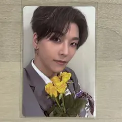 シンロン タレントカード