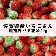 佐賀県産　大容量小粒いちご2kg