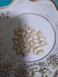 バターナッツカボチャの種　30粒