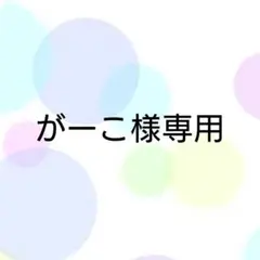 がーこ様 リクエスト 2点 まとめ商品