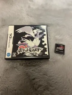 ポケットモンスター ブラック (ニンテンドーDS)