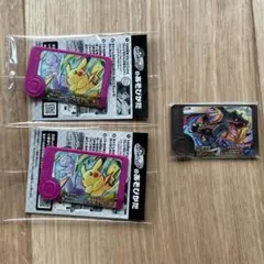 ポケモンフレンダ ピカチュウ レックウザ 2枚セット