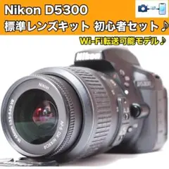 Nikon D5300☆シャッター回数少☆無線でスマホに転送☆届いて即使える