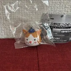 プロ野球マスコット めじるしアクセサリー DB.スターマン