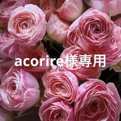 ❇️ラナンキュラス❣️専用④