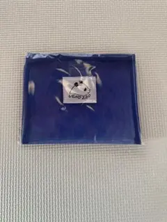 上野動物園限定　パンダ　メッシュポーチ青