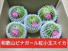 和歌山。ピナガール 紅小玉スイカ、5玉入1箱 約3.5kg〜8月3日 刈り取りのサムネイル