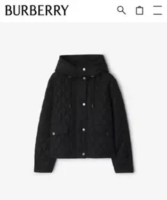 Item thumbnail for item 125d4a31-4c64-4a8c-ae93-e7829de14b02