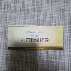 ヤマダ電機 お買い物優待券 500円×20枚セット　10000円分　株主優待