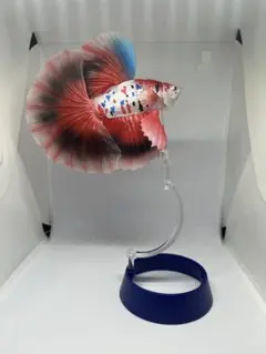 いきもの大図鑑アドバンス　ベタ