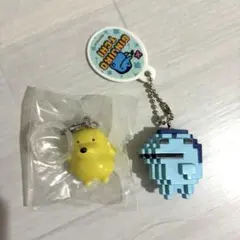 ぎんじろっち ぽちっち セット ꪔ̤̮