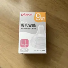 Item thumbnail for item 8d6b34fb-f92e-4e65-961d-e80710671b8b