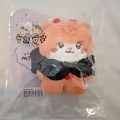i-dle ソヨン mininiぬいぐるみキーリング sonini - メルカリ